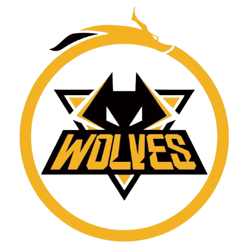 点火仪式可 点火仪式可